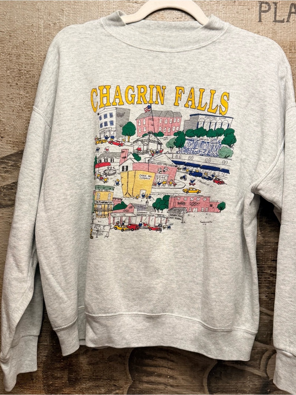 Vintage Chagrin Falls Graphic Sweatshirt – Fruit of the Loom BEST – Size L